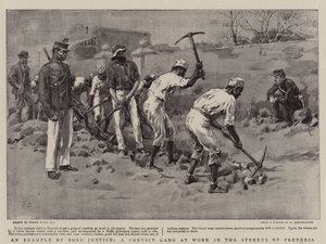 مثال على Boer Justice ، عصابة مدانة في العمل في شوارع بريتوريا